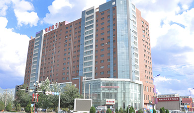 达拉特旗问鼎国际华园商住楼